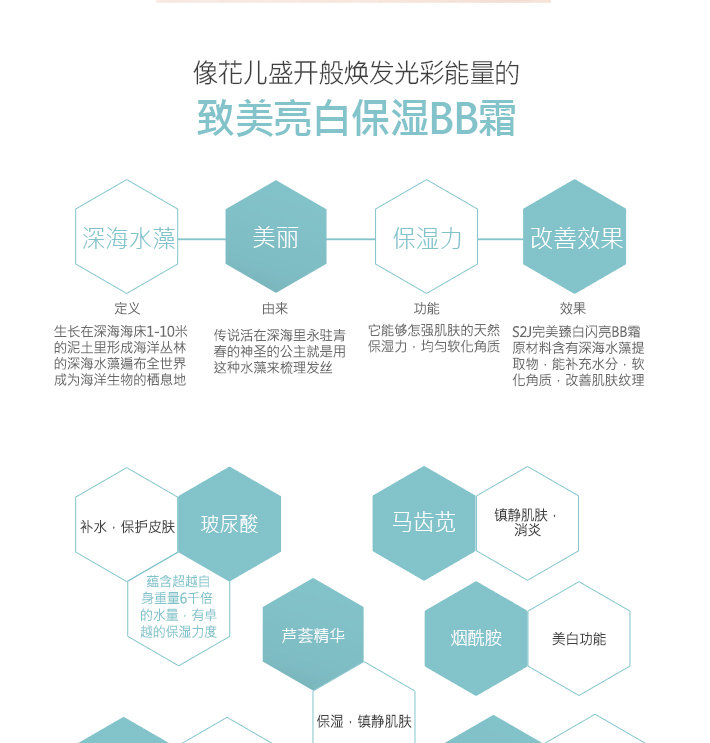 컴플리트-피니쉬-일루미네이트-비비_08.jpg