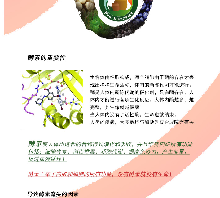 판크린장_03.jpg