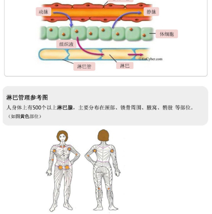 진공마사지기-CN_05.jpg